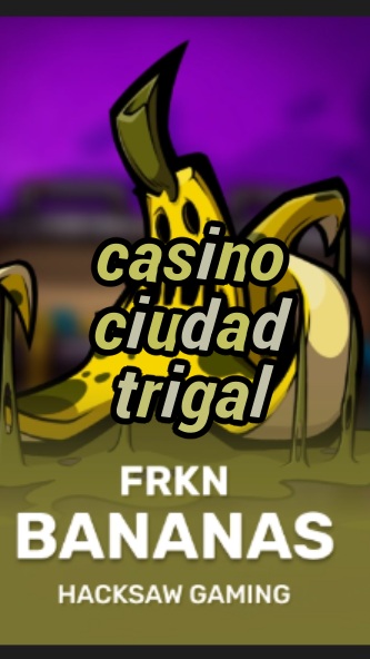 casino ciudad trigal-3xn3u5udepyz9m9w5iat.com